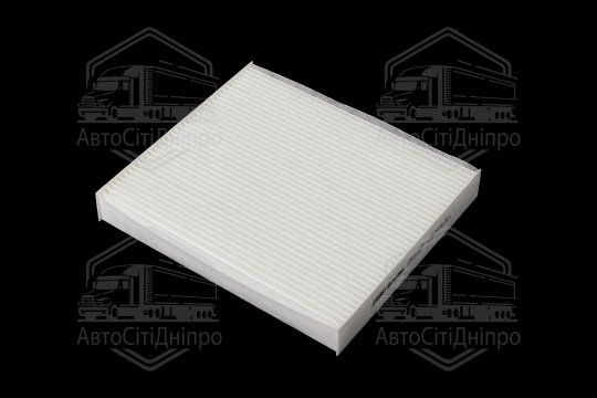 Фільтр салону ExtraClean  HYUNDAI, KIA (RIDER)