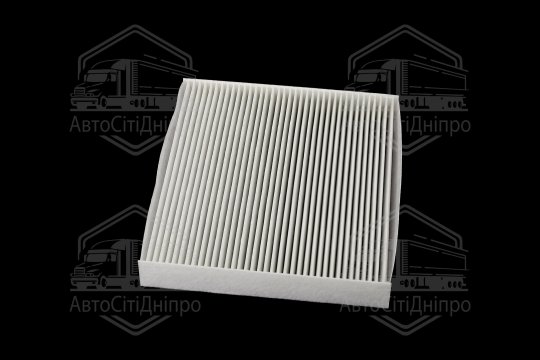 Фільтр салону ExtraClean  HYUNDAI, KIA (RIDER)