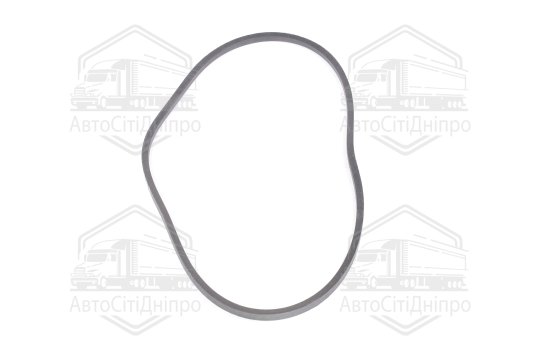 Ремінь B 1600 (ВБ-1600) (вир-во Rubena)