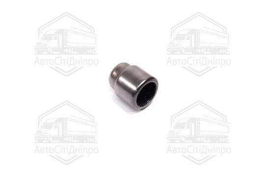 Підшипник напрямний AUDI A1, A3,SKODA FABIA II, OCTAVIA III, VW AMAROK, TIGUAN, GOLF (вир-во SACHS)