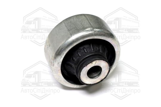 Сайлентблок важеля RENAULT MEGANE II, SCENIC II 02 перед. міст (вир-во SASIC)