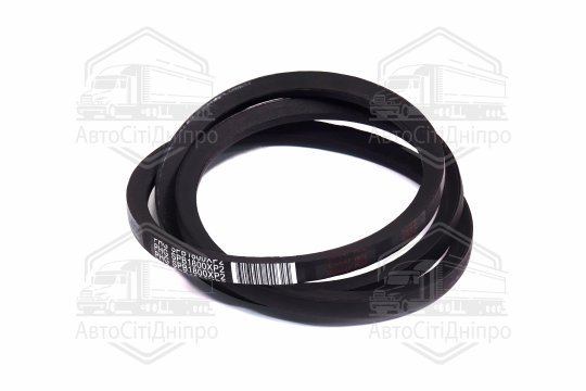Ремінь SPB 1800 (УБ-1800) (PHG SPB1800XP) (посил.) (SKF)