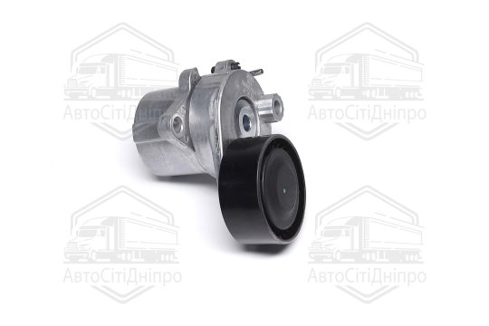 Ролик натяжний ременя поліклінового (Вир-во SKF)