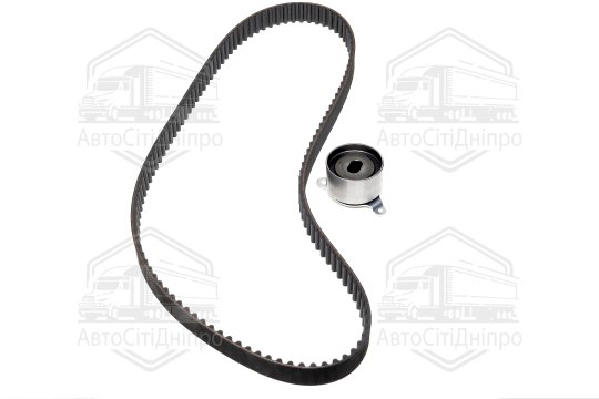 Комплект ременя ГРМ (Вир-во SKF)