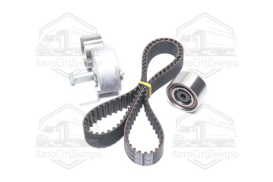 Комплект ременя ГРМ (Вир-во SKF)