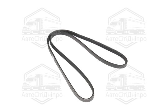 Ремінь поліклиновий (Вир-во SKF)