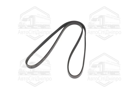 Ремінь поліклиновий (Вир-во SKF)