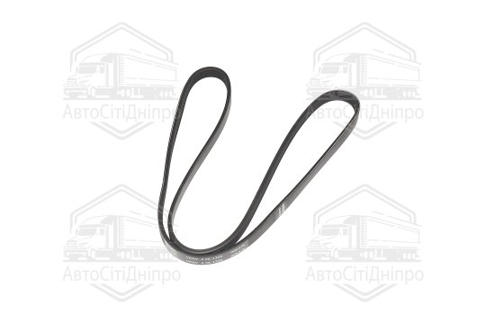 Ремінь поліклиновий (Вир-во SKF)