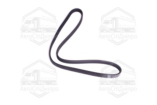 Поліклиновий ремінь (Вир-во SKF)