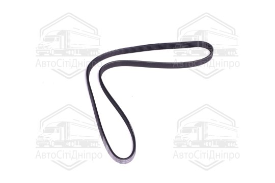 Поліклиновий ремінь (Вир-во SKF)