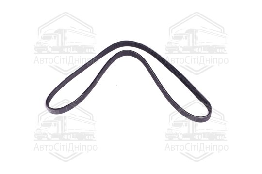 Поліклиновий ремінь (Вир-во SKF)