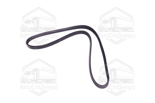 Поліклиновий ремінь (Вир-во SKF)