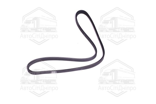 Поліклиновий ремінь (Вир-во SKF)