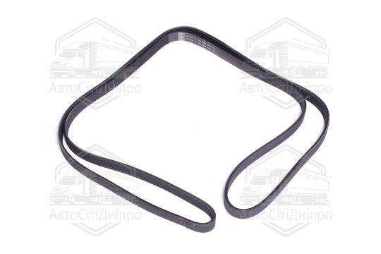 Поліклиновий ремінь (Вир-во SKF)