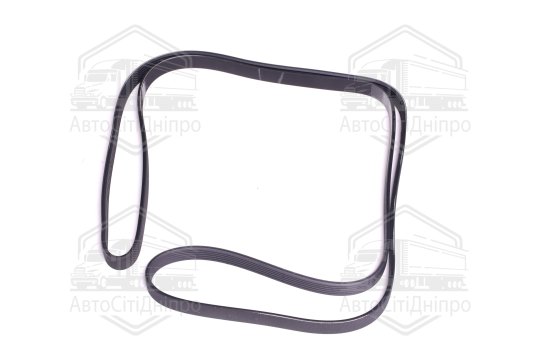 Поліклиновий ремінь (Вир-во SKF)