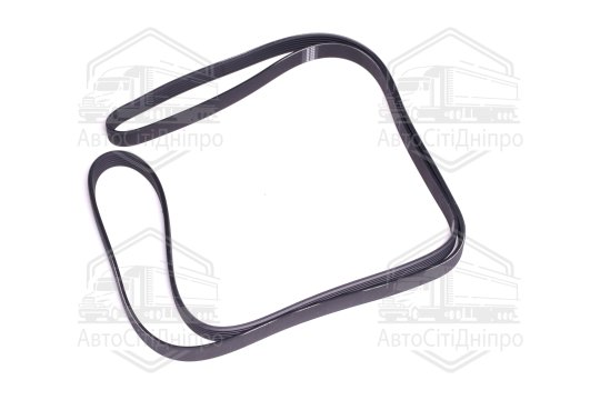 Поліклиновий ремінь (Вир-во SKF)