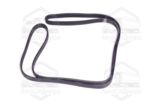 Поліклиновий ремінь (Вир-во SKF)