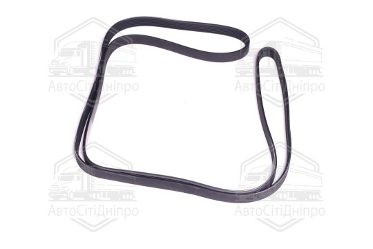 Поліклиновий ремінь (Вир-во SKF)