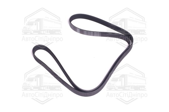 Поліклиновий ремінь (Вир-во SKF)