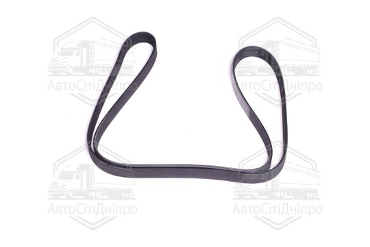 Поліклиновий ремінь (Вир-во SKF)