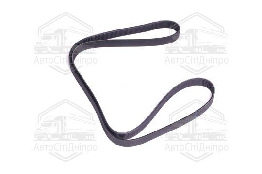 Поліклиновий ремінь (Вир-во SKF)