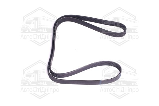 Поліклиновий ремінь (Вир-во SKF)