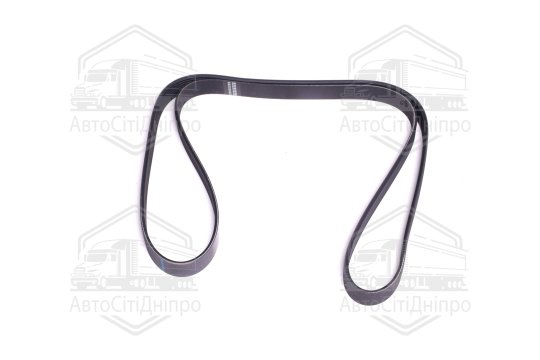 Поліклиновий ремінь (Вир-во SKF)