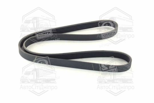 Ремінь поліклін. (Вир-во SKF)