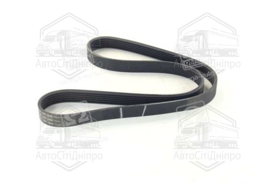 Ремінь поліклін. (вир-во SKF)