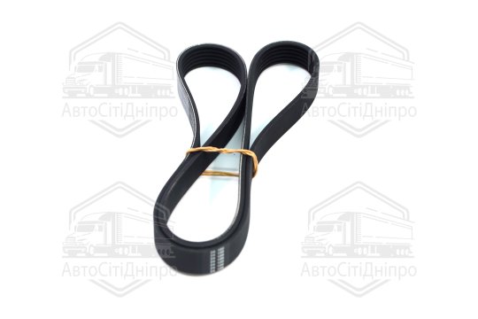 Ремінь поліклін. (Вир-во SKF)