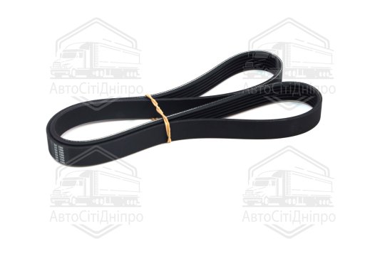 Ремінь поліклін. (Вир-во SKF)