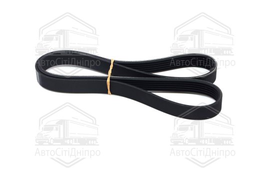 Ремінь поліклін. (Вир-во SKF)