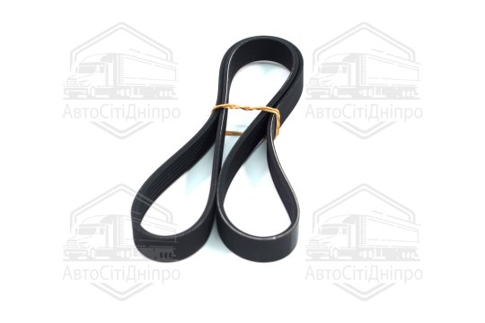 Ремінь поліклін. (Вир-во SKF)