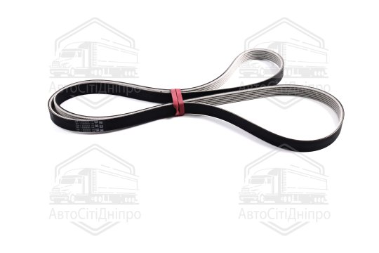 Ремінь поліклін. (вир-во SKF)