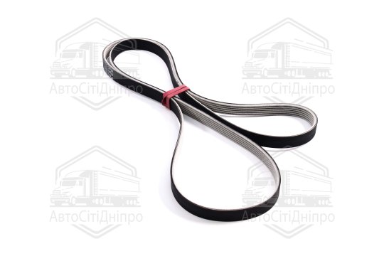 Ремінь поліклін. (вир-во SKF)