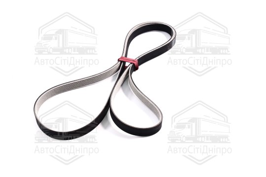 Ремінь поліклін. (вир-во SKF)