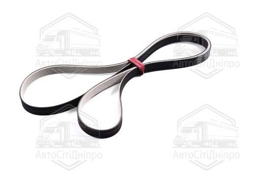 Ремінь поліклін. (вир-во SKF)