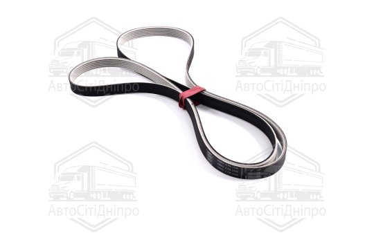 Ремінь поліклін. (вир-во SKF)