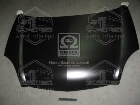 Капот RENAULT KANGOO 03-09 (вир-во TEMPEST)