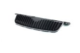 Решітка SK FABIA 07-10 (вир-во TEMPEST)