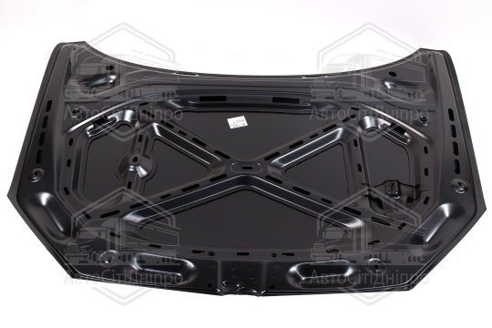 Капот VW PASSAT B7 USA 11-15 (TEMPEST)