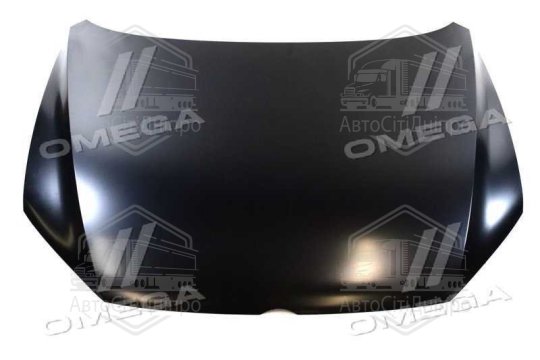 Капот [TYG] VW PASSAT B7 11-15 USA (TEMPEST)