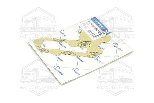 Прокладка насоса водяного Еталон, ТАТА Е1 (насос-блок) (TEMPEST)