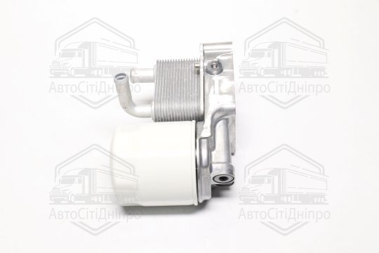Радіатор масляний FORD FOCUS -10/04, FORD TRANSIT (вир-во Van Wezel)