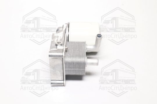 Радіатор масляний FORD FOCUS -10/04, FORD TRANSIT (вир-во Van Wezel)