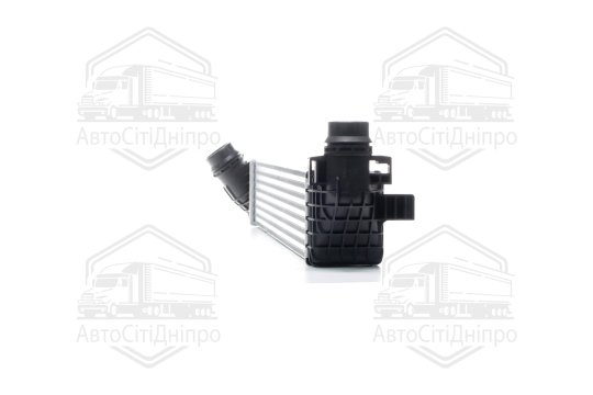 Інтеркулер RENAULT SCENIC 4/09 > 16 (вир-во Van Weze)