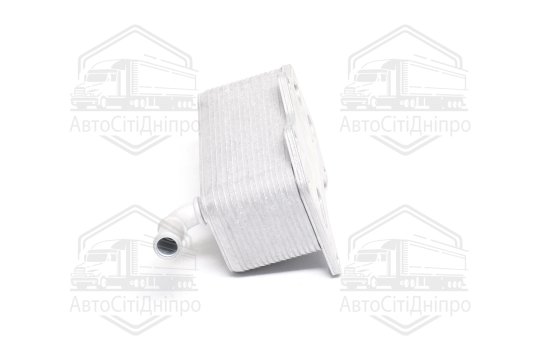 Радіатор масляний VOLKSWAGEN PASSAT B6 (3C2, 3C5) (05-) (вир-во Van Wezel)