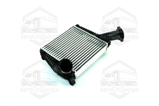 Інтеркулер CAYENNE/TOUAREG 02-07 (Van Wezel)