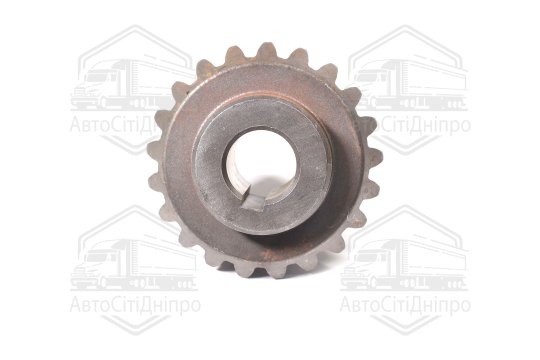 Шестерня велика (z = 21) Z-169 (5036010670) (вир-во WIRAX,  Польща)