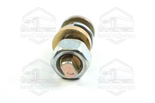 Палець ексцентриків ГАЗ 53(перед.зад.), 3308 66(задніх колодок) ПАЗ у зборі